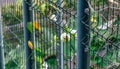 Tennis ball stuck in chainlink fence. A green tennis ball stuck in the blue cage