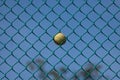 Tennis ball stuck in a wired fence