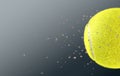 Tennis Ball Royalty Free Stock Photo