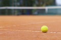 Tennis ball on a tennis court. Soft focus
