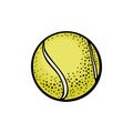 Tennis ball. Vector color engraving illustration. Isolated on white background. Royalty Free Stock Photo