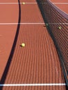 Tennis balls with net