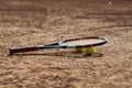 Tennis balls and racket. Royalty Free Stock Photo