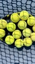 Tennis balls on the racket on hard court by the net. Tennis net shadows on tennis yellow balls. Royalty Free Stock Photo