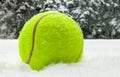 Tennis christmas ball on the snow on Christmas trees background, and falling snowflakes Sports card. Merry Christmas and Happy New Royalty Free Stock Photo