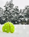 Tennis christmas ball on the snow on Christmas trees background, and falling snowflakes Sports card. Merry Christmas and Happy New Royalty Free Stock Photo