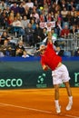 Tennis Davis Cup Austria vs. France Royalty Free Stock Photo