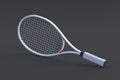 Tennis racquet. Sports equipments. International tournament. Game for laisure Royalty Free Stock Photo