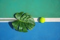 Tennis summer concept with green monstera leaf and ball, racquet on hard tennis court. Royalty Free Stock Photo