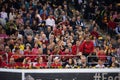 Tennis supporters, fans applauding in the tribune