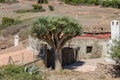 Teno Alto Mountains. Typical village with old Houses. Green hills covered with heather and laurels. Cactus, blue agave and giant