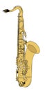 Tenor saxophone sketch in color. Saxophone vintage illustration