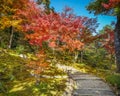 Tenryuji Sogenchi Garden a