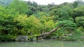 Tenryuji temple garden in Arashiyama, Kyoto