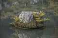 The Tenryuji Temple Zen Garden At Arashiyama Kyoto Japan Royalty Free Stock Photo