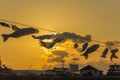 Tenshochi Park,Kitakami,Iwate,Tohoku,Japan:Carp streamers or koinobori over the Kitakami River blowing in strong wind during sun Royalty Free Stock Photo