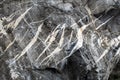 Tension gashes filled by calcite and quartz on a rock boulder Royalty Free Stock Photo