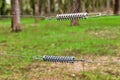 Tension springs attached to electric fence Royalty Free Stock Photo