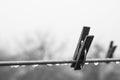 Tensioned wire after rain with water drops and spider web below and clothespin. Blurred black and white art background