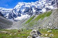 Hike camp on a background of high snowy mountains