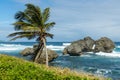 Tent Bay area coastline in Bathsheba, Barbados.