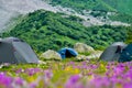 Tent camp on a lawn Royalty Free Stock Photo