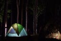 Tent camp in a pine forest Royalty Free Stock Photo