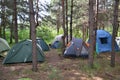 Tent camp in a pine forest Royalty Free Stock Photo