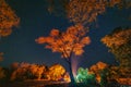 Tent camp at sunset among the trees. Night sky with stars Royalty Free Stock Photo