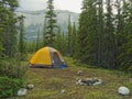 Tent Camping in the Forest with Mountain Backdrop