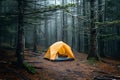 Tent Camping in a Forest Royalty Free Stock Photo