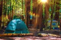 Tent Camping in Redwoods Royalty Free Stock Photo