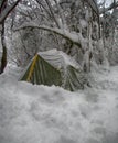 Tent is covered with snow, overnight hikers in forest Royalty Free Stock Photo