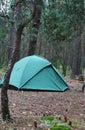 Tent on the forest Royalty Free Stock Photo