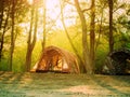 Tent in forest trekking camp Royalty Free Stock Photo