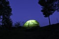 The tent glows in the night. Camping by the lake in a pine forest. Royalty Free Stock Photo
