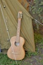 Tent with guitar in nature. Country picnic outdoors. Wild rest in the forest after a working day Cat breed the Russian