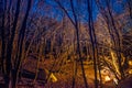 Tent illuminated with campfire light Royalty Free Stock Photo