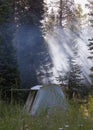 Tent in meadow with flowers, tall pines in background with wood smoke from a campfire drifting through the trees