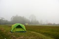 Tent in the mist at camping site