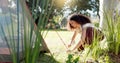 Tent, nature and woman with a setup for a camp in a forest for holiday or adventure. Vacation, outdoor and a young girl