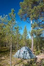 Tent pitched in forest