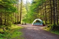 tent pitched beside a well-maintained hiking trail Royalty Free Stock Photo