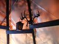 Tent with reindeer antlers and a lantern