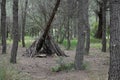 tent shelter made from branches leaning against a fallen tree trunk in the woods Royalty Free Stock Photo