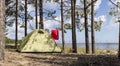 Tent stands in a pine forest on the sea shore near the sandy beach