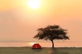 Tent and tree in green field besides the lake with sunset or sunrise Royalty Free Stock Photo