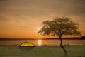 Tent and tree in green field besides the lake Royalty Free Stock Photo