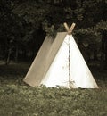 Tent in the woods Royalty Free Stock Photo