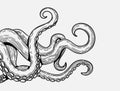 Tentacles banner. Octopus tentacle sketch element. Decorative engraving sea animal parts vector poster Royalty Free Stock Photo